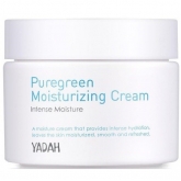 Крем для лица увлажняющий Yadah Pure Green Moisturizing Cream